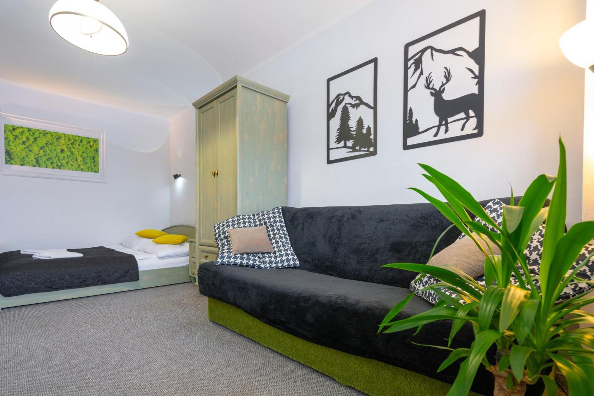 Apartament Nad Kamienczykiem IV Шклярська Поремба Екстер'єр фото